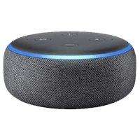 Alexa skill